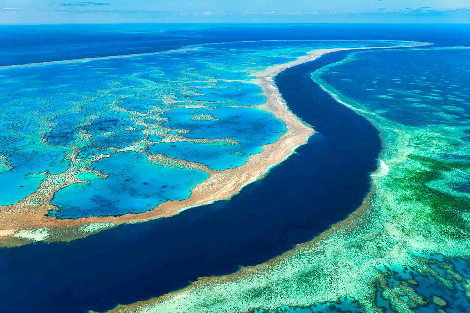 The Great Barrier Reef