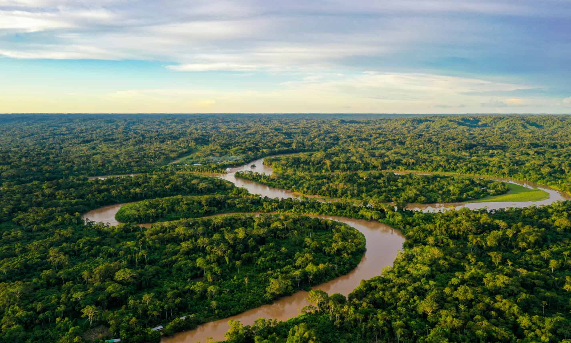 The Amazon Rainforest